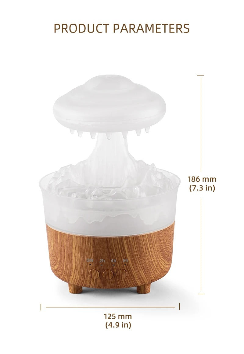 Raincloud humidifier