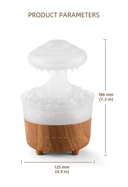 Raincloud humidifier