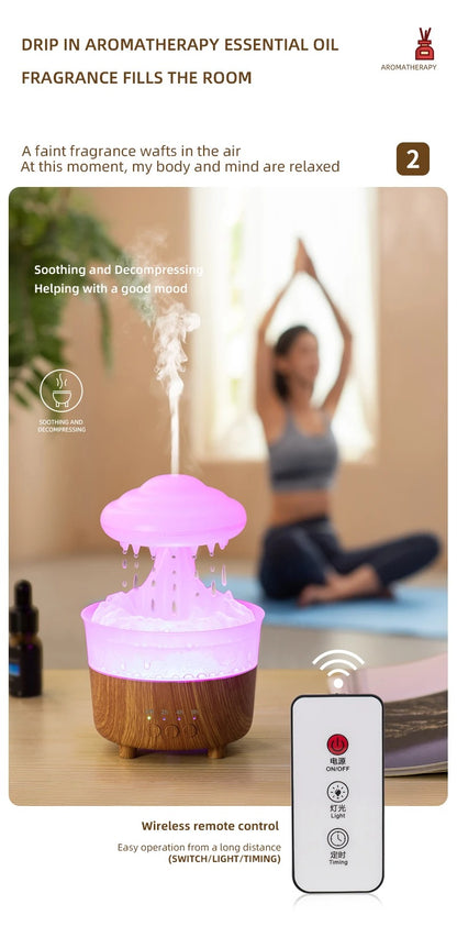 Raincloud humidifier