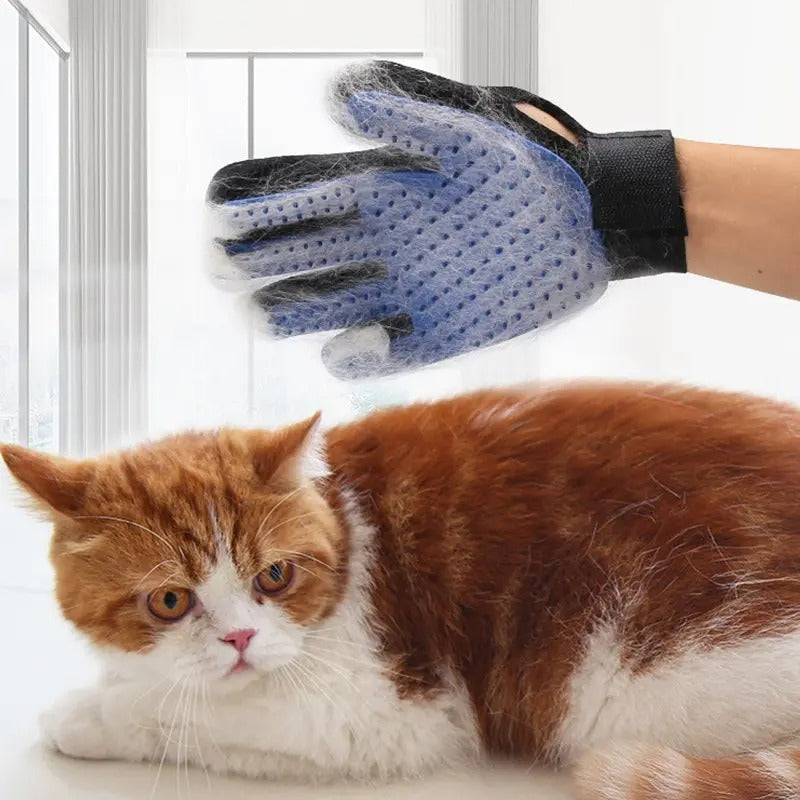 Pet Glove Comb